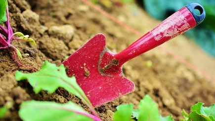Garden centers in SingaporeCustomer reviews